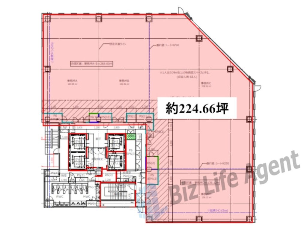 ＴＨＥ　ＰＥＡＫの平面図